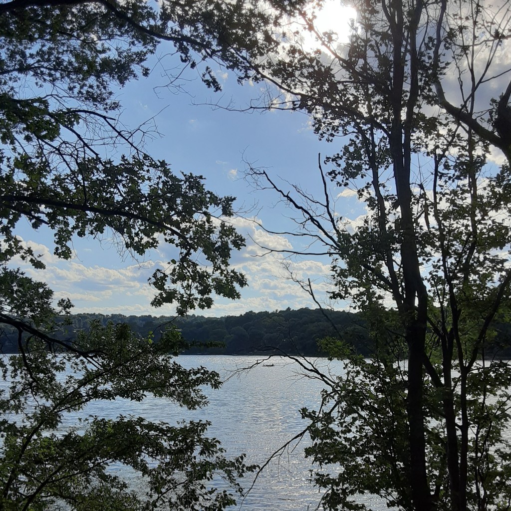 When I’m in America, I Miss My Husband