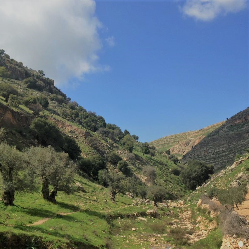 Just Kidding About Quitting&nbsp;Syria