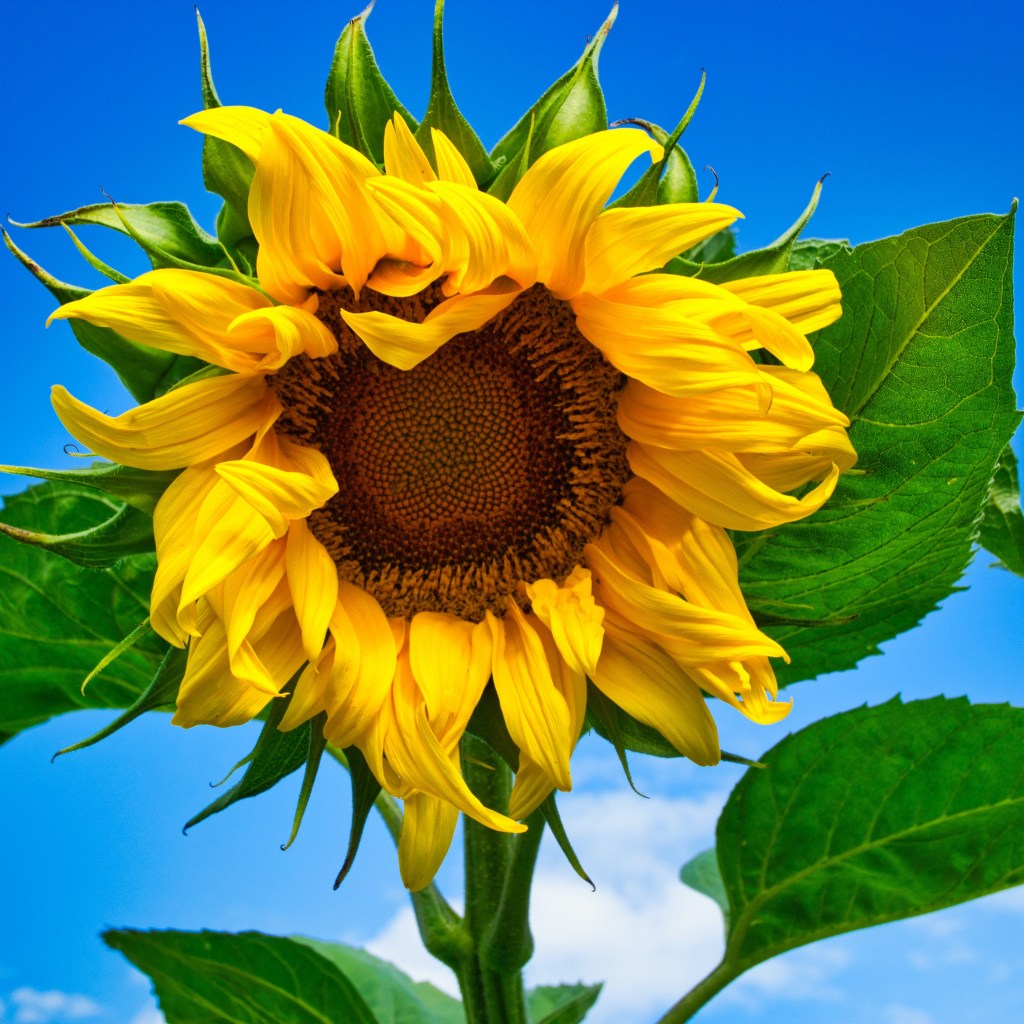 GeorgieNink.com Turns 1&nbsp;Year