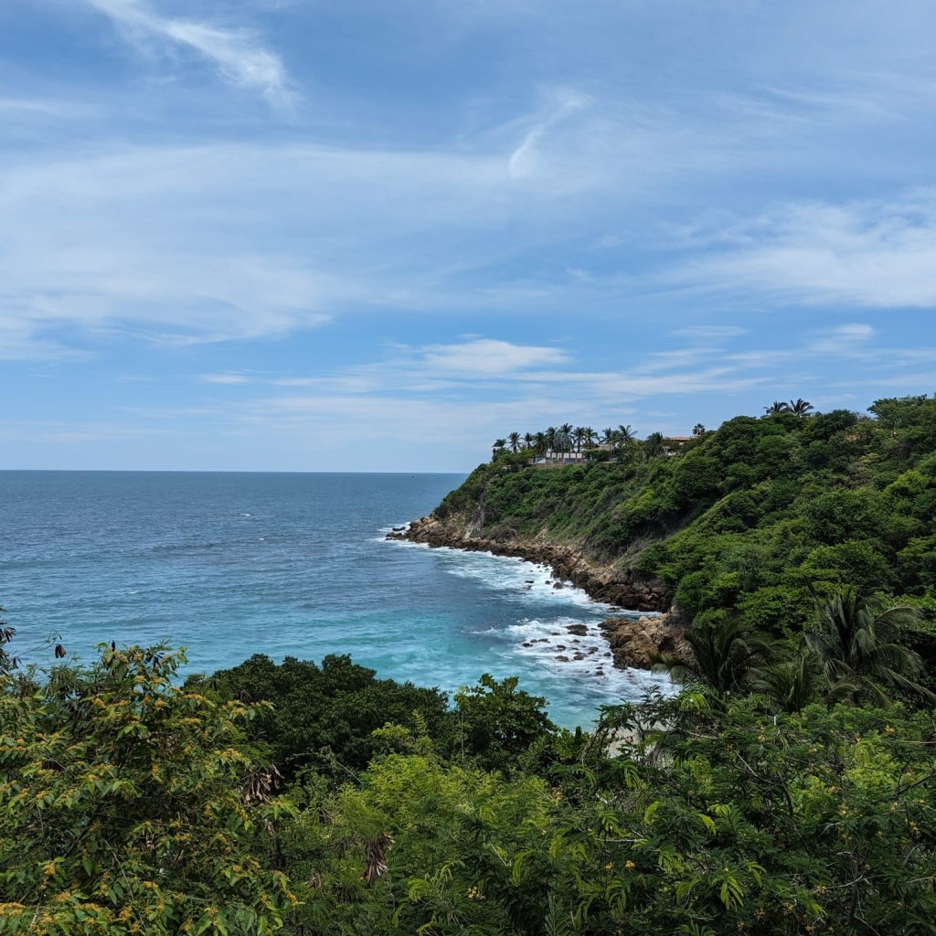 Where Did My Travel Bug&nbsp;Go?