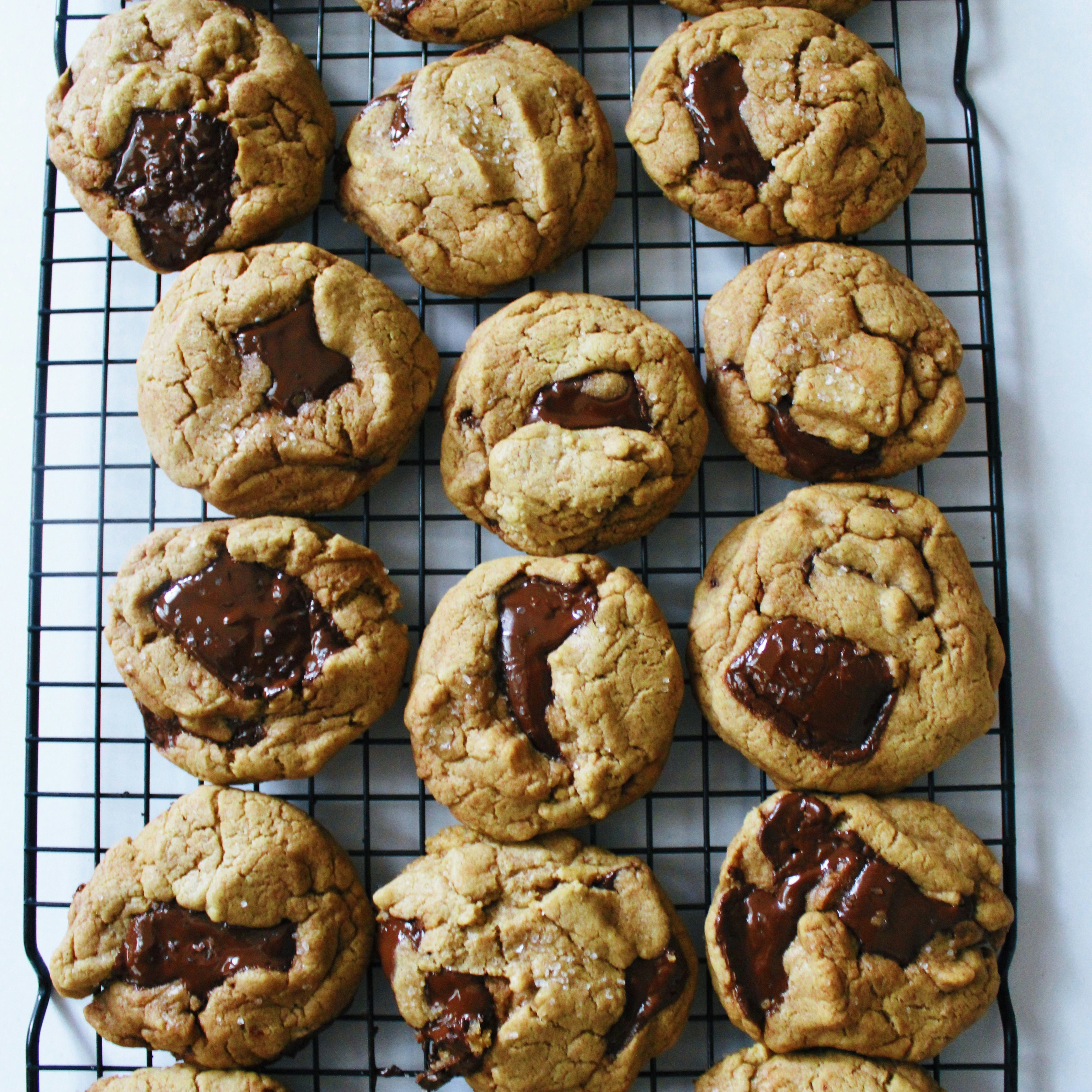 Freshly baked chocolate chip cookies laid out in a grid.