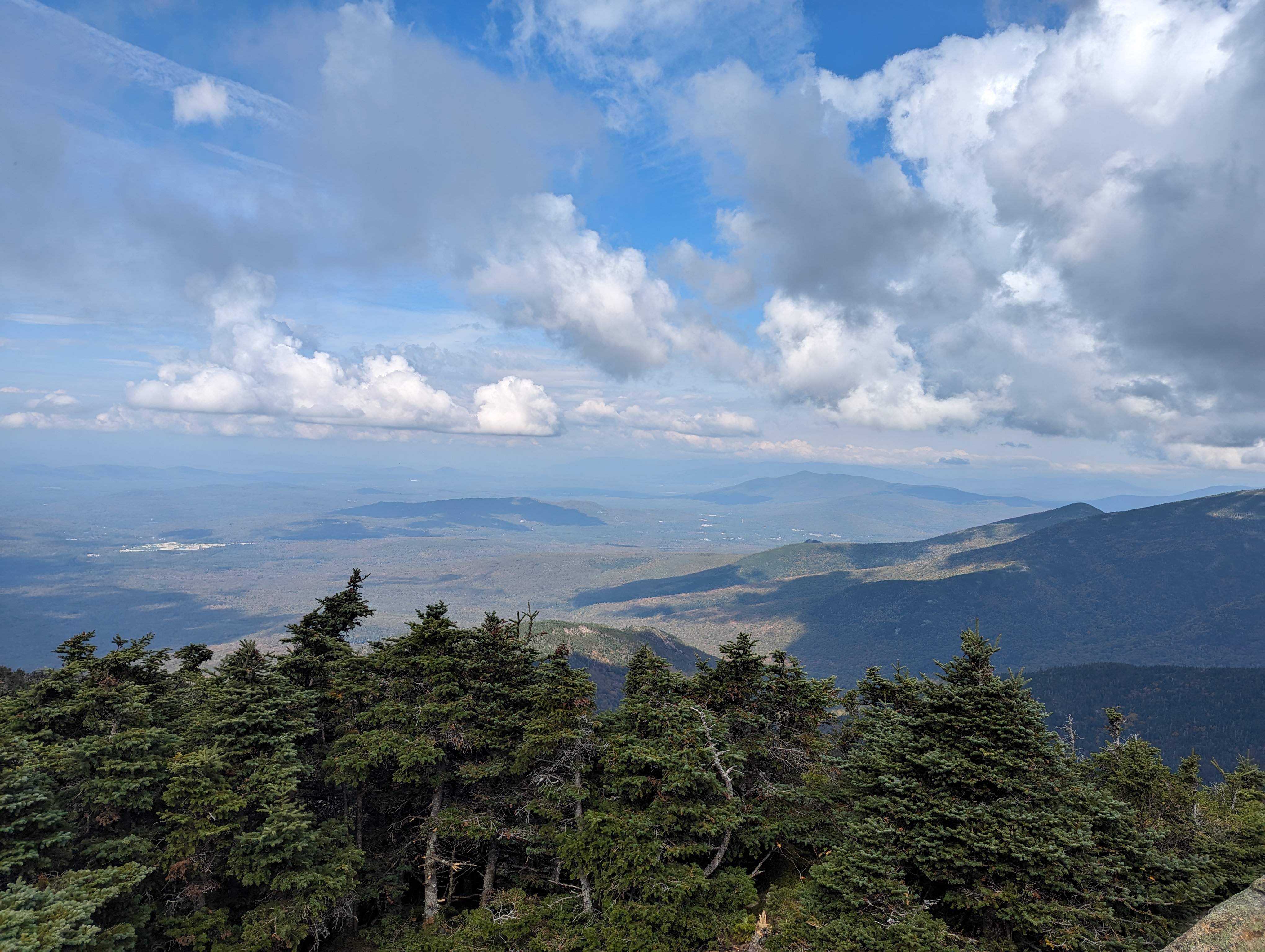Pine trees in the foreground and low hills in the background with a cloudy sky