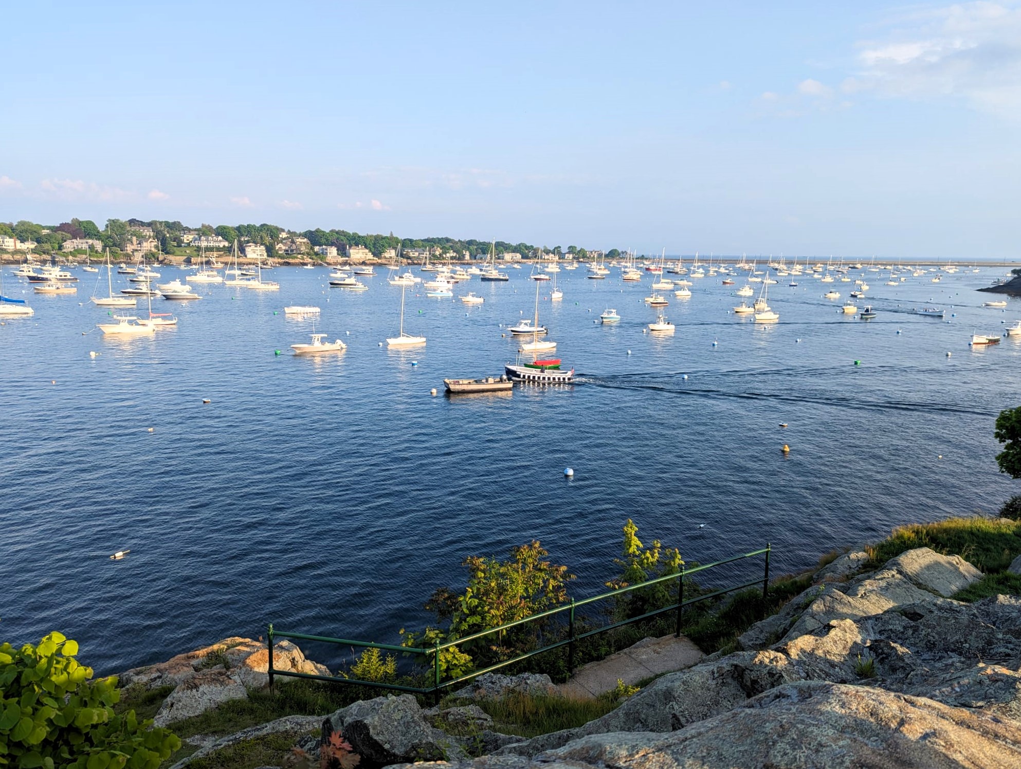 Many small white boats dotting a blue harbor with green shoreline in the background