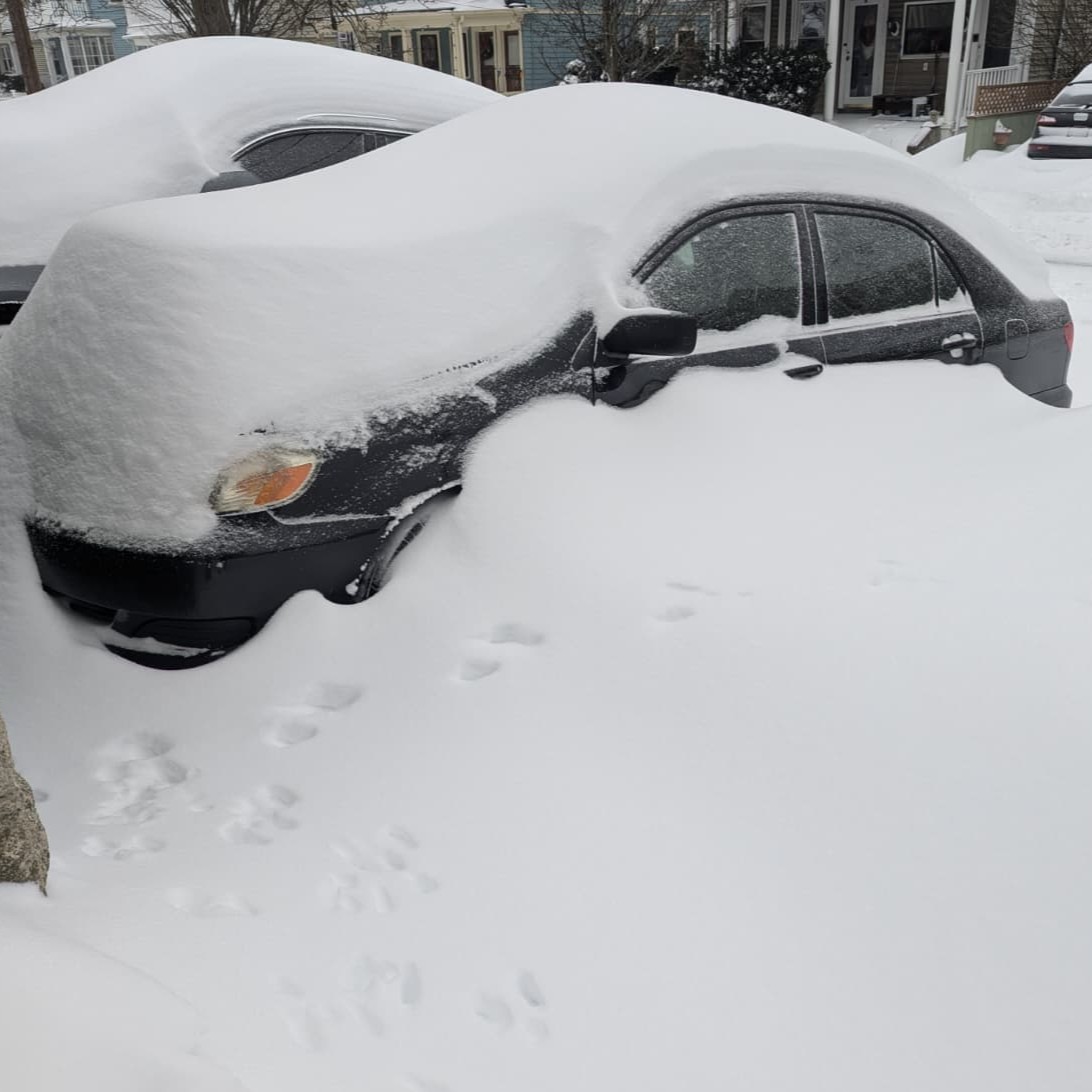 Surviving A Worst Case Scenario Year